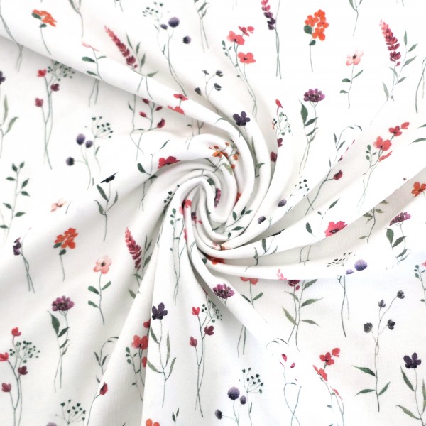 Jersey Kräuterwiese, Off-White, Bunt, Meterware