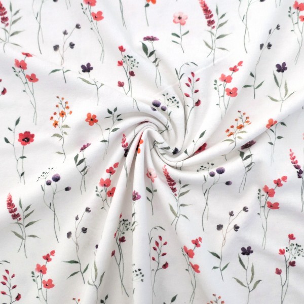 Jersey Kräuterwiese, Off-White, Bunt, Meterware