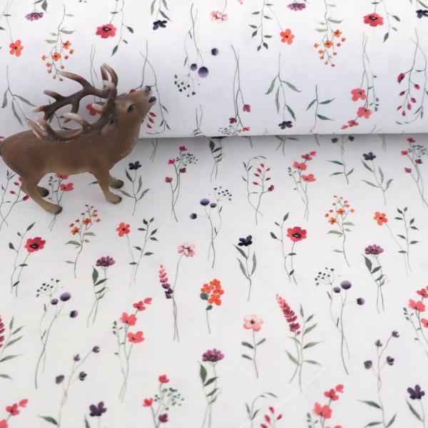 Jersey Kräuterwiese, Off-White, Bunt, Meterware