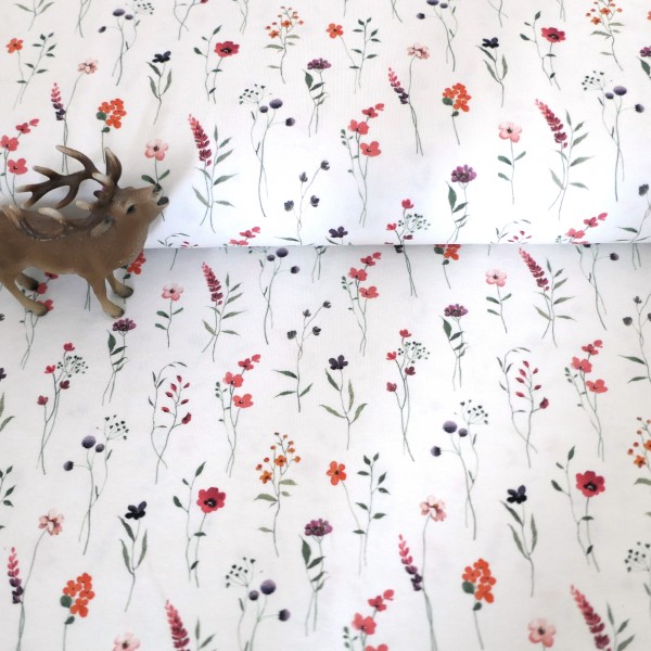 Jersey Kräuterwiese, Off-White, Bunt, Meterware